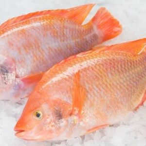 Tilapia Roja Entera